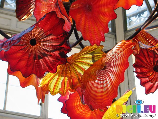 15475 Detail of glass flowers in Temperate house